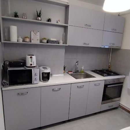 Ana Apartament Рымнику-Вылча Экстерьер фото