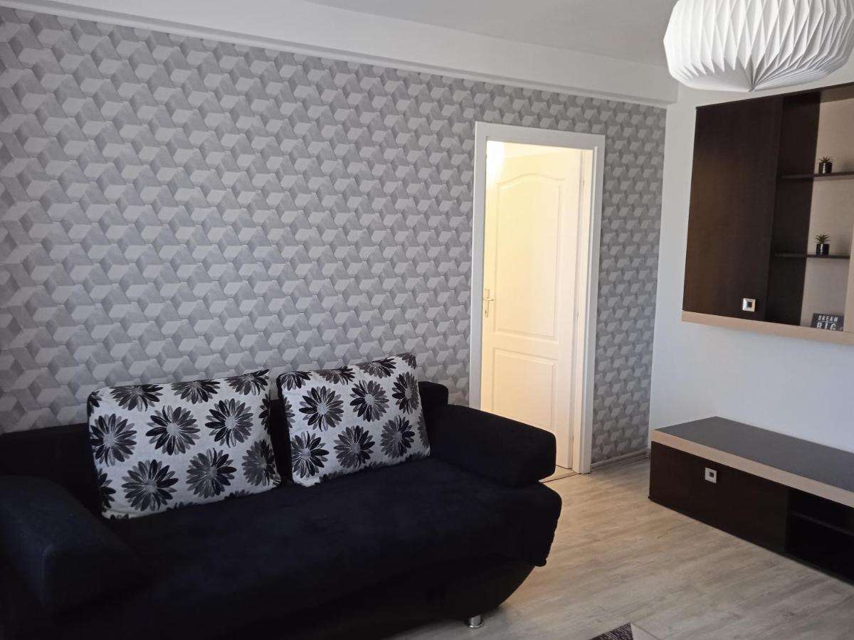 Ana Apartament Рымнику-Вылча Экстерьер фото