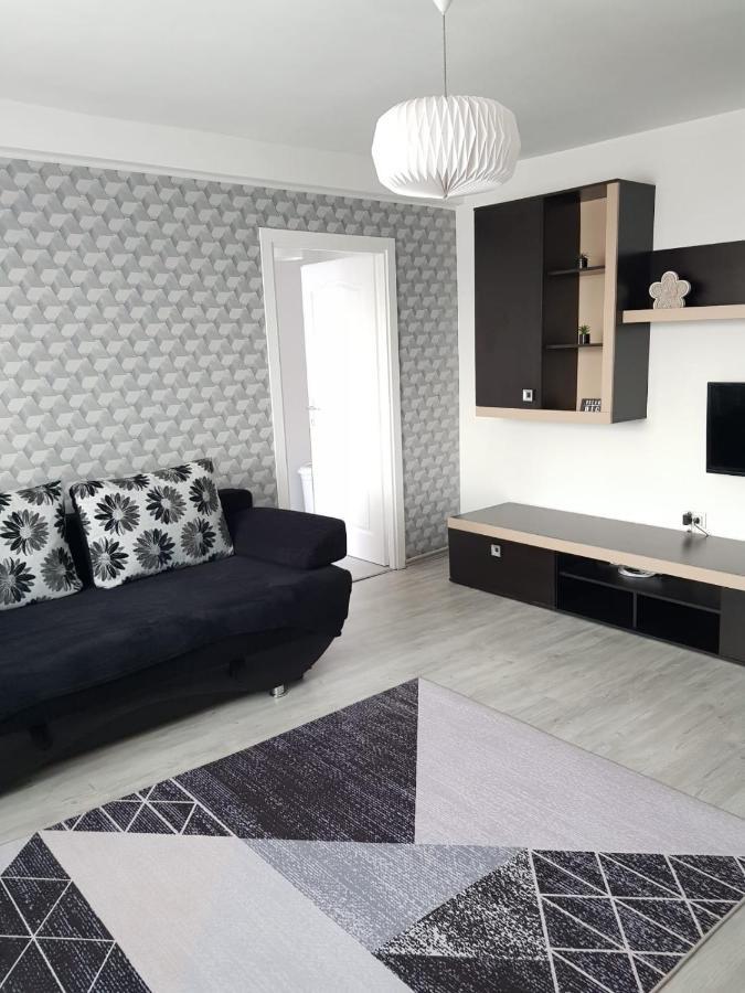Ana Apartament Рымнику-Вылча Экстерьер фото