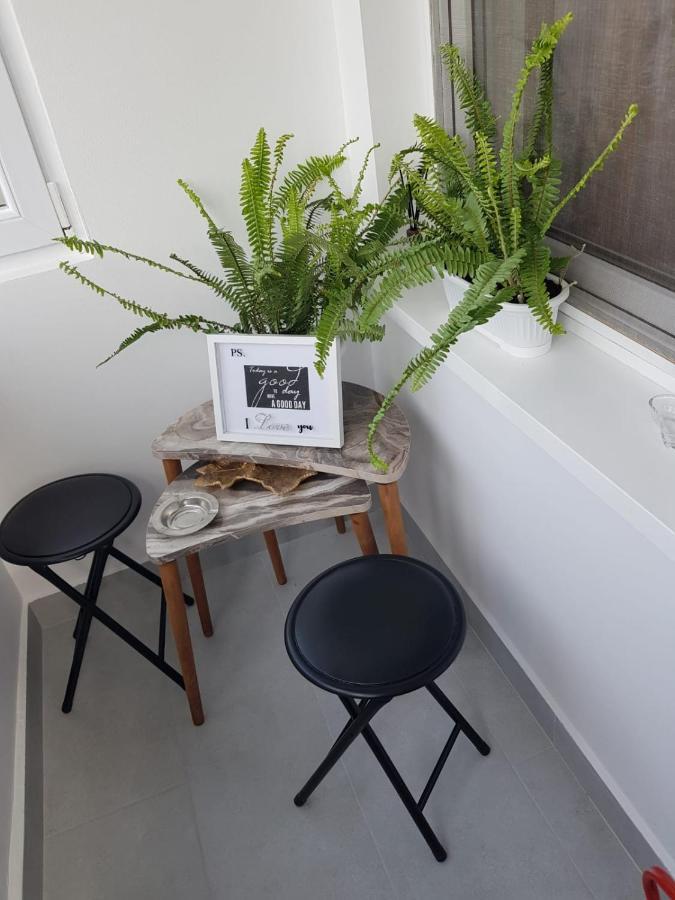 Ana Apartament Рымнику-Вылча Экстерьер фото