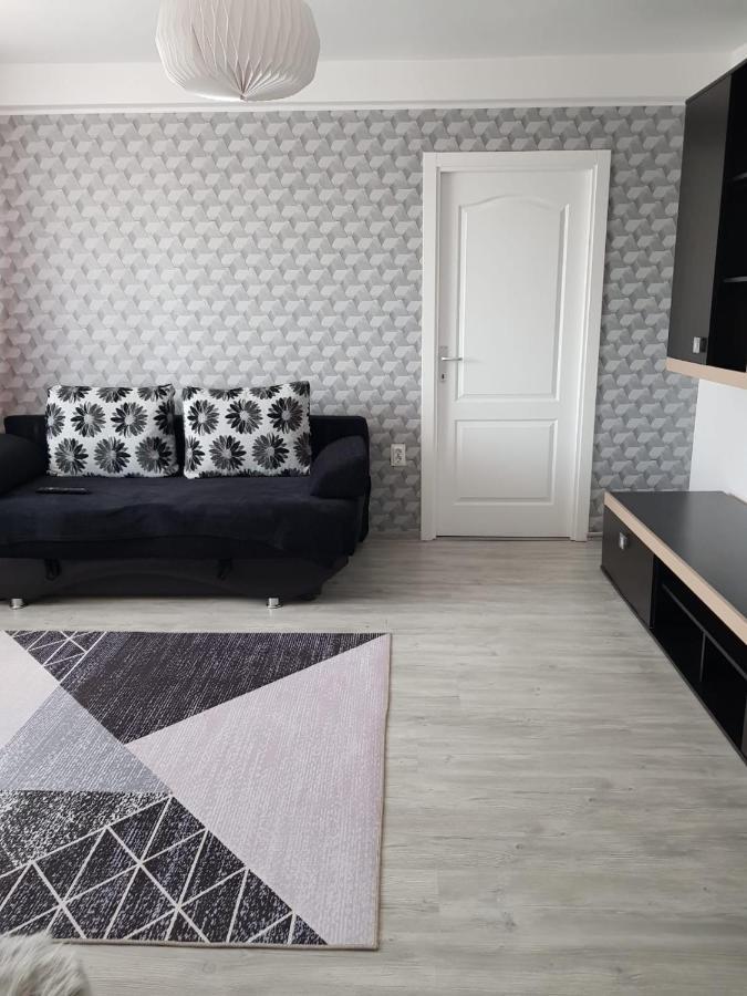 Ana Apartament Рымнику-Вылча Экстерьер фото