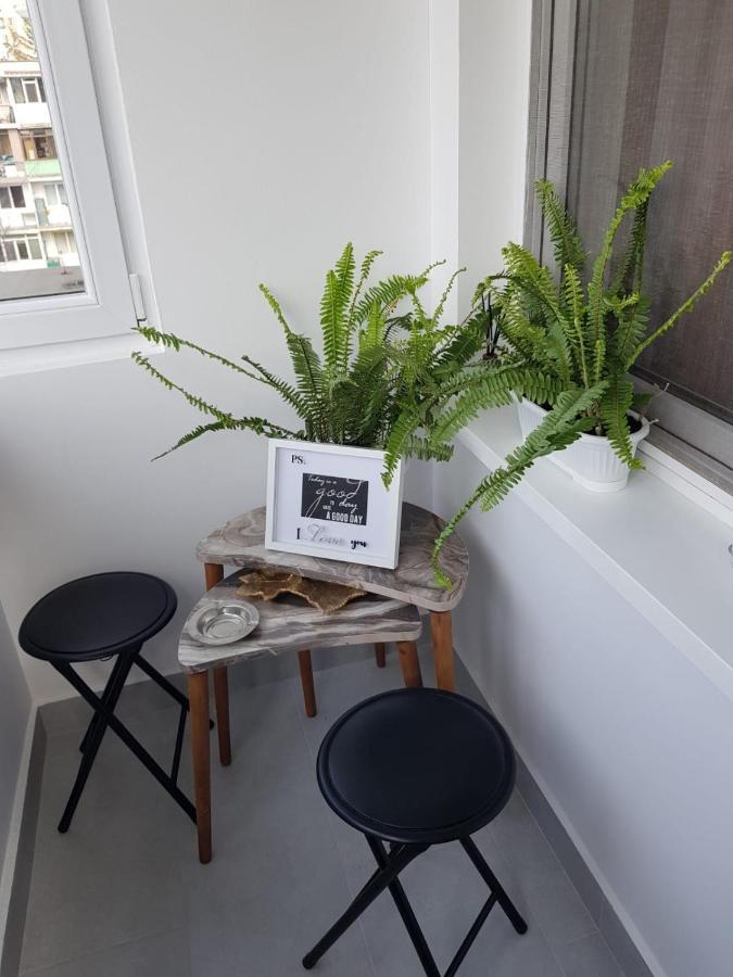 Ana Apartament Рымнику-Вылча Экстерьер фото