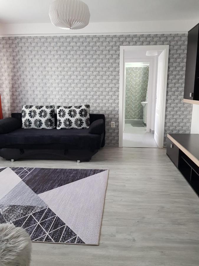 Ana Apartament Рымнику-Вылча Экстерьер фото