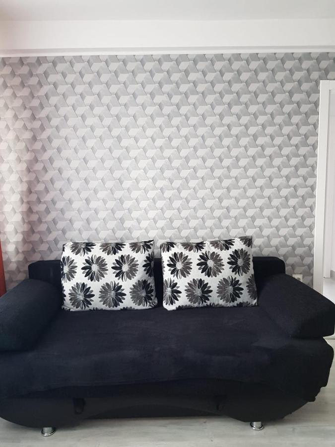 Ana Apartament Рымнику-Вылча Экстерьер фото