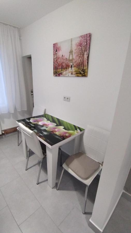 Ana Apartament Рымнику-Вылча Экстерьер фото