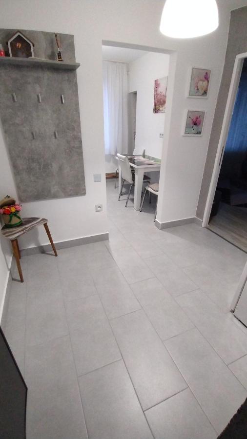 Ana Apartament Рымнику-Вылча Экстерьер фото