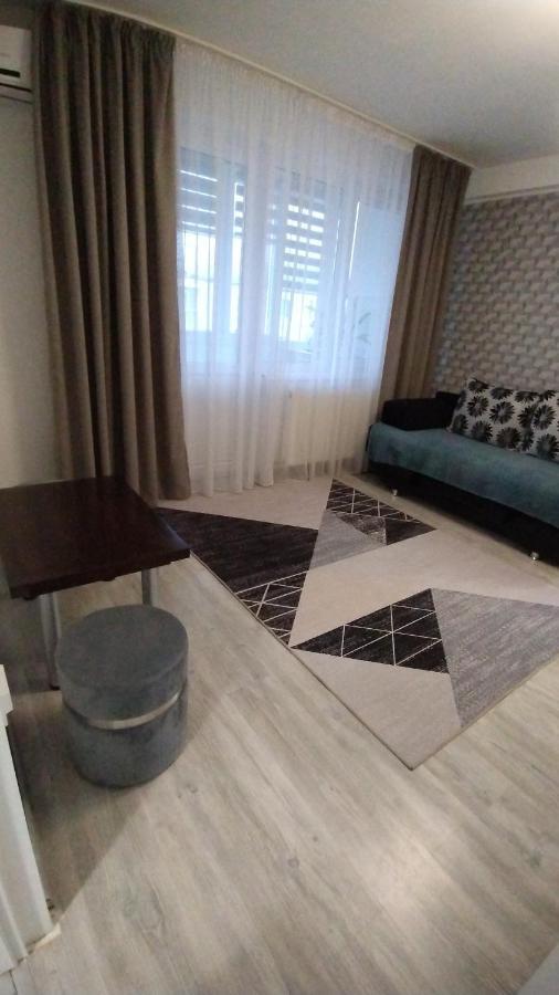 Ana Apartament Рымнику-Вылча Экстерьер фото